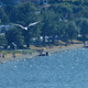 p0012