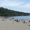 Golden Gardens