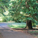 p0013