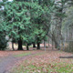 p0017